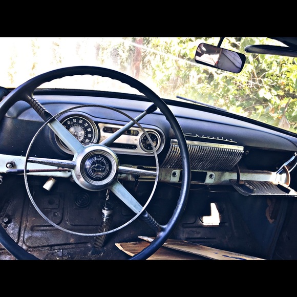 Meet your Posher, BrownJay - Picture 2 of 2